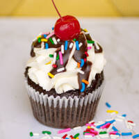 Hot Fudge Cupcake